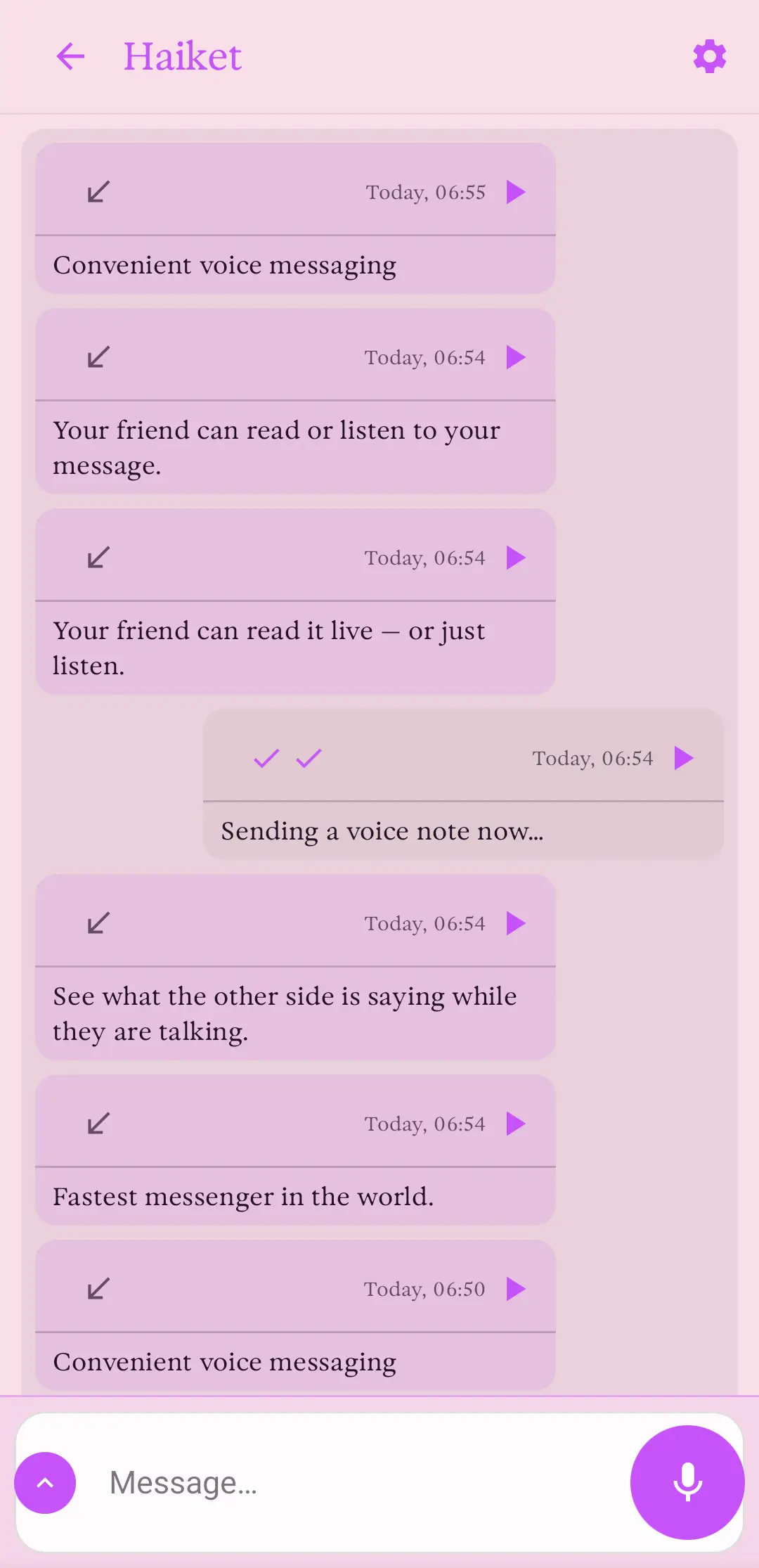 Haiket chat thread with received and sent voice-note bubbles showing timestamps and play buttons, plus a message field and microphone button