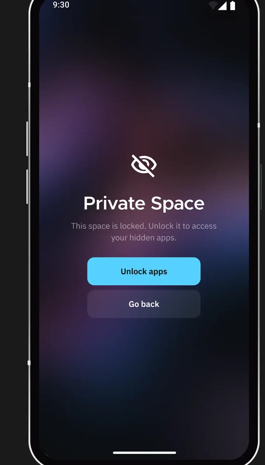 Private Space lock screen with a crossed-out eye icon, a locked-space message and Unlock apps and Go back buttons.